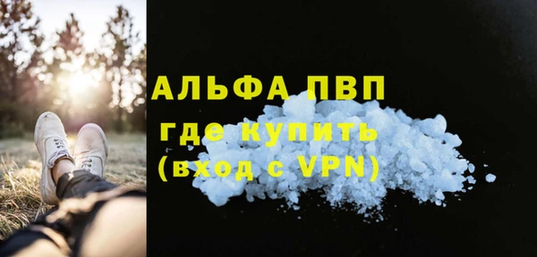 сатива Надым