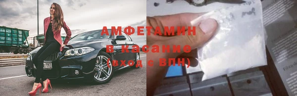 сатива Надым