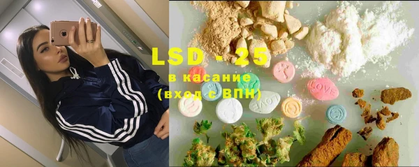 сатива Надым
