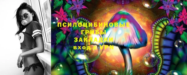 PSILOCYBIN Навашино