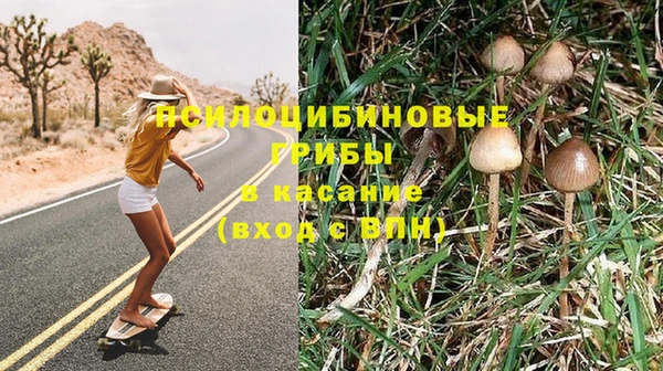 сатива Надым