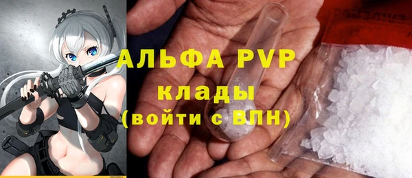PSILOCYBIN Навашино